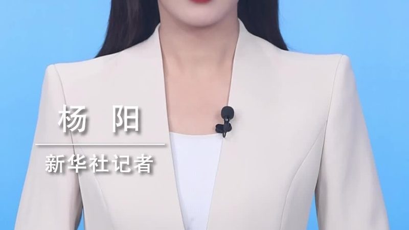 数据治理生命周期管理的核心要素与实施路径**